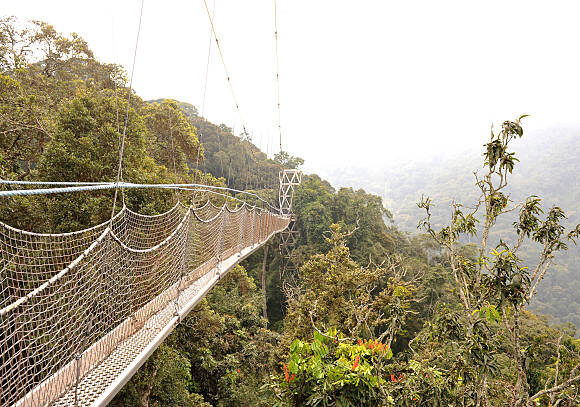 9 Day Trip into Rwanda